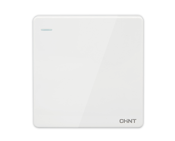 NEW2Y大板開關(guān)