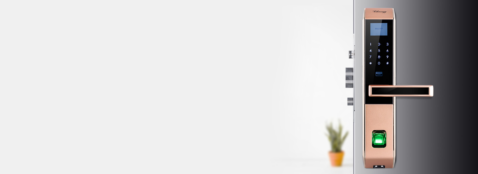 虛位密碼保護，虛實結合 正泰智能鎖LO...