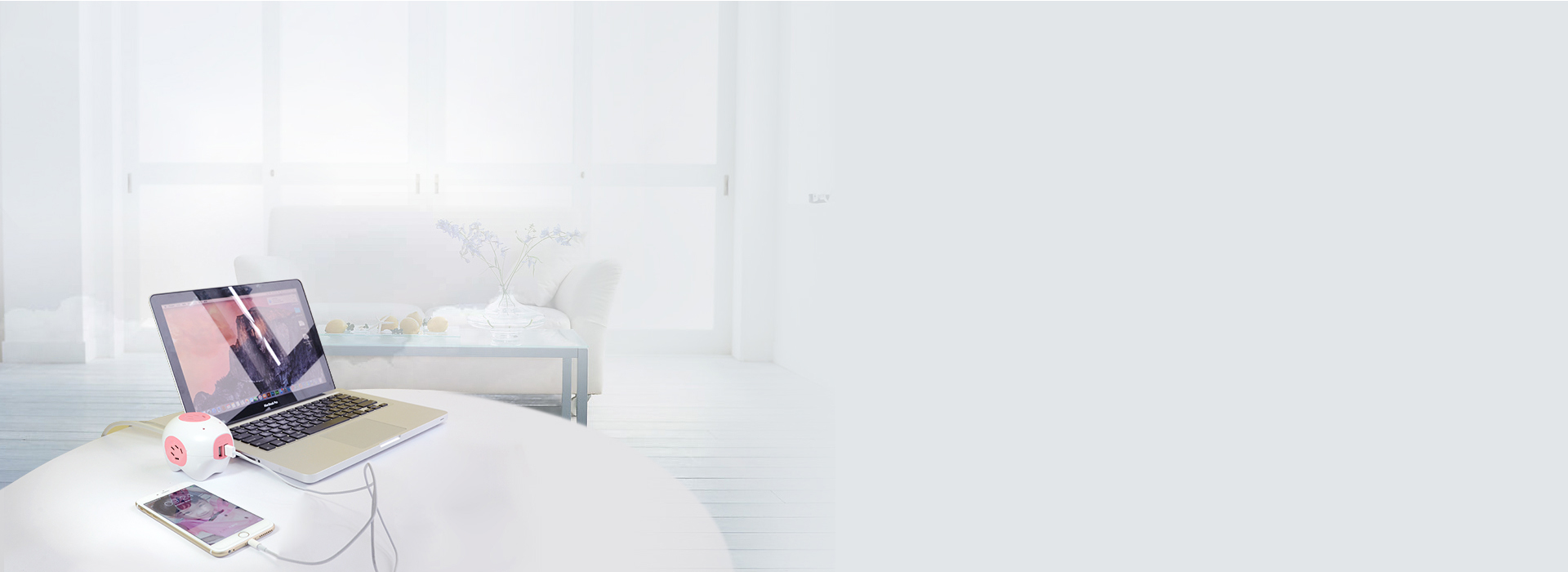 智能分配，充電迅速 2個2.1A的US...